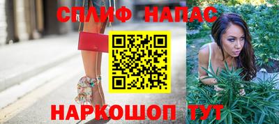 МДПВ Славянск-на-Кубани